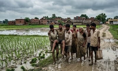 Madhepura: खेत में धान रोपनी के दौरान सर्पदंश, 32 वर्षीय युवक की इलाज के दौरान दर्दनाक मौत