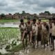 Madhepura: खेत में धान रोपनी के दौरान सर्पदंश, 32 वर्षीय युवक की इलाज के दौरान दर्दनाक मौत