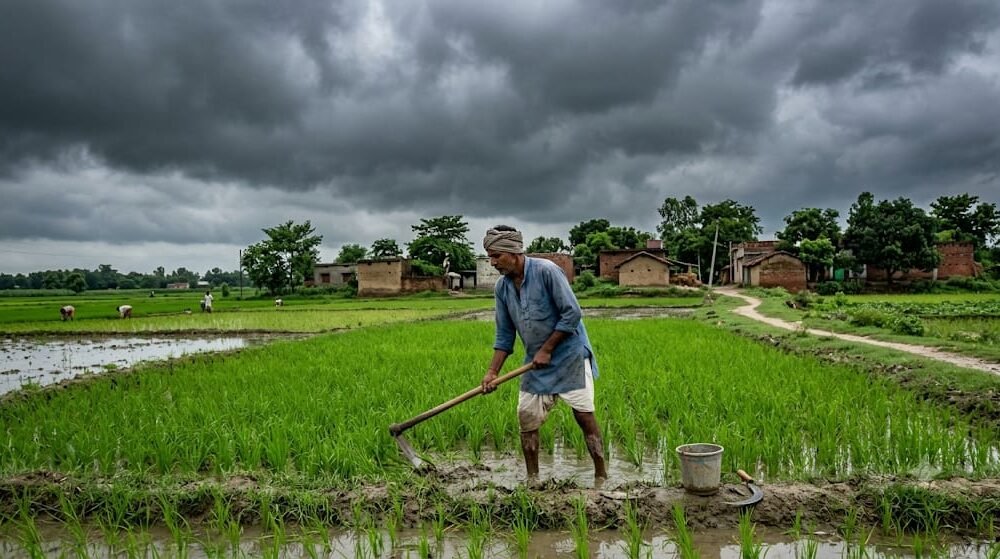 Bihar Weather Update