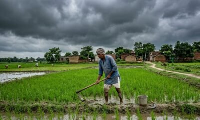 Bihar Weather Update