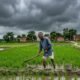 Bihar Weather Update